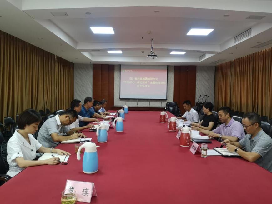 集團(tuán)公司召開“不忘初心、牢記使命”主題教育活動(dòng)民主生活會(huì)