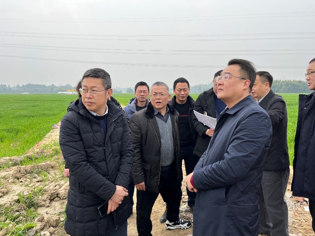 省社、省供投集團(tuán)領(lǐng)導(dǎo)調(diào)研青白江區(qū)四川現(xiàn)代供銷(xiāo)種業(yè)園區(qū)