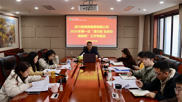 集團(tuán)公司召開(kāi)2025年第一次“清欠款、去庫(kù)存、調(diào)結(jié)構(gòu)”工作專(zhuān)題會(huì)